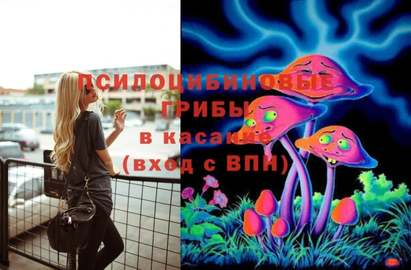 гашик Богданович