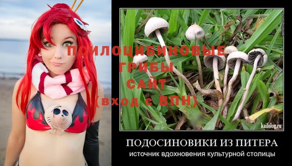 герыч Богородицк